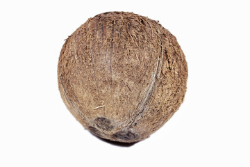 Coconut on white