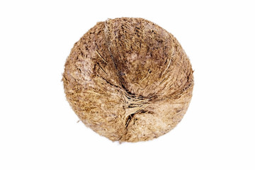 Coconut on white