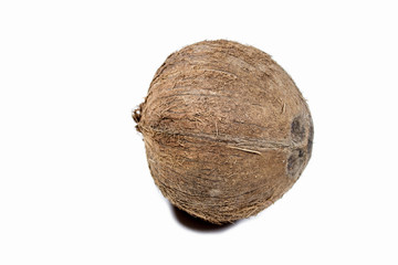Coconut on white
