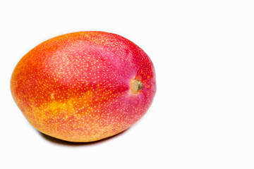 Mango on white background