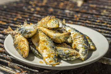 Delicious barbecued sardines - traditional food from Portugal