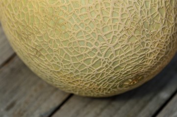 Cantaloupe close-up