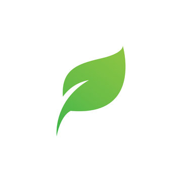 Green leaf logo or icon design vector