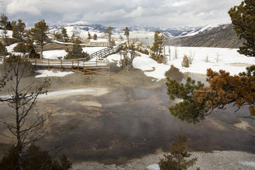 Boardwalk over hot springs at Mammoth Hot Springs, Yellowstone National Park, Wyoming