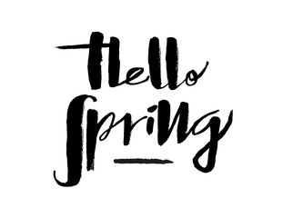 Hand drawn Hello Spring lettering typography poster. Celebration quotation for postcard, icon, card, logo, badge, invitation, poster, banner template lettering typography. Seasons Greetings. 