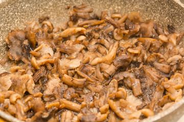 Mushrooms fry. Fried mushrooms in a frying pan. Mushrooms stew. Preparation of mushrooms.