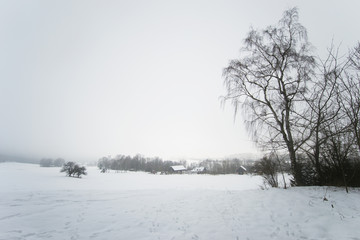 Fototapeta na wymiar bright calm nature photography in winter season, snow everywhere