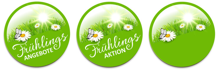 Naklejka premium Frühling - Angebot Button Set mit Margeriten Blumen Wiese, Sonne und Schmetterling