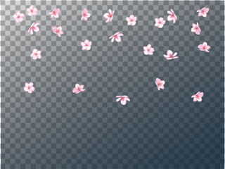 Pink Cherry Blossom Vector Confetti. Holiday Wedding Birthday Decoration Realistic Pink Cherry Blossom Confetti. Spring Apple, Sakura or Apricot Blooming Showering. Light Magic Flying Petals Design.