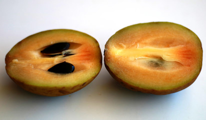 Manilkara zapota, commonly known as sapodilla or sawo.