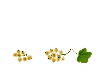 close-up of ripe white currants isolated on white background with copy space
