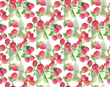 berries guarana seamless pattern background.