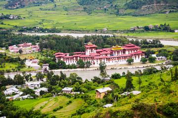 View of Punakha Dzong with green rice paddy, Punakha, Bhutan