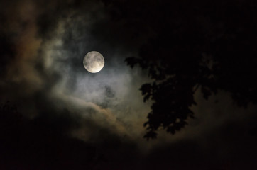 Naklejka na ściany i meble Mystic moon in the sky with clouds.