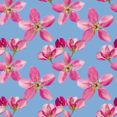 Petunia. Seamless pattern texture of flowers. Floral background, photo collage