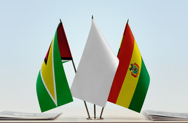 Flags of Guyana and Bolivia with a white flag in the middle