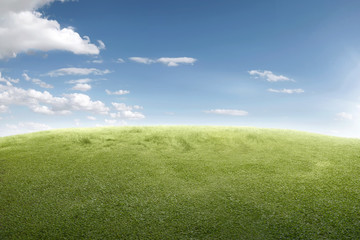 Image of green grass field
