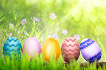 Row of colorful easter eggs on wooden plank