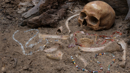 Still life of archaeological excavation with skull, bones and ancient glass beads necklace still...