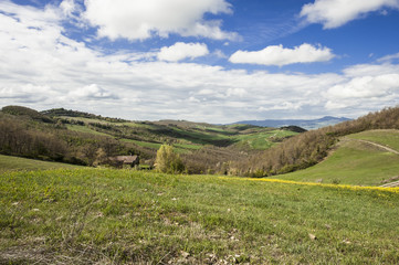 Fototapeta na wymiar Italian landscape with fields and pastures.