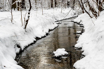 In the winter forest, the winter river runs.