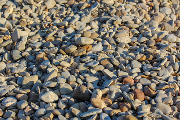 Field of small stones and pebbles