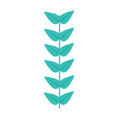 leaves with stem icon image vector illustration design 