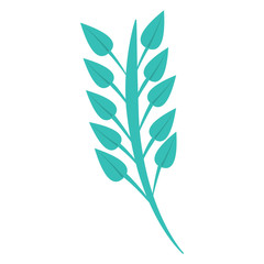 leaves with stem icon image vector illustration design 