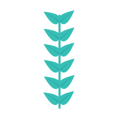 leaves with stem icon image vector illustration design 