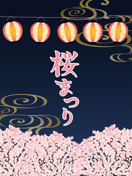 夜桜　桜祭り