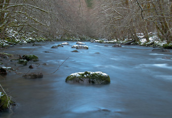Wilson River