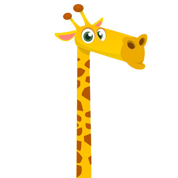 Cartoon funny giraffe. Vector illustration of african savanna giraffe smiling. 