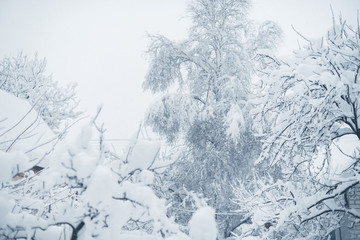 Winter snowfall in the village. Snowy collapse