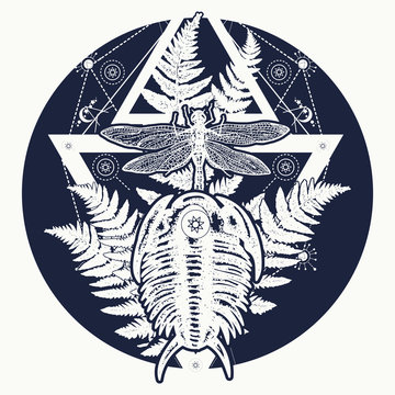Prehistoric tattoo art. Symbol of paleontology, science, education. Trilobites, dragonfly and fern tattoo. Dragonfly in triangle t-shirt design
