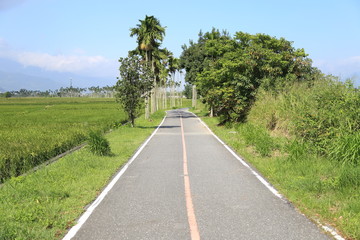 The beauty of the farmland in Guan Shan, Taitung Taiwan