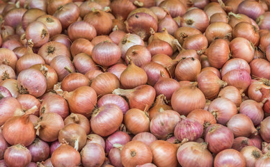 Asian onions