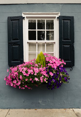 Fototapeta na wymiar Adorned and Decorate Architectural window, door, planter box