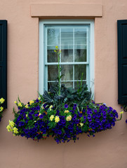 Adorned and Decorate Architectural window, door, planter box