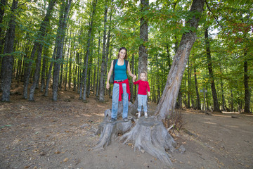 Fototapeta premium mother woman and four years age blonde child standing on cut tree trunk posing smiling in forest of chestnut in autumn 