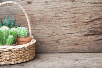 Fototapeta na wymiar Basket of variety cactus plants on wooden table with copy space