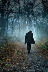 a man in a misty twilight