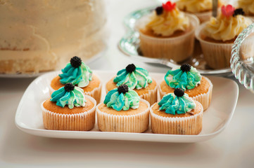 Delicious sweet buffet with capcakes on plate