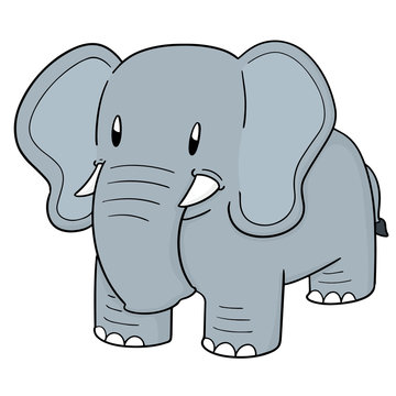 vector of elephant