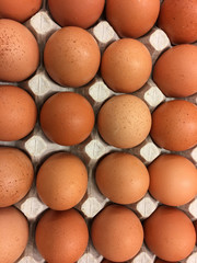 Fresh natural chicken eggs in cardboard packing.