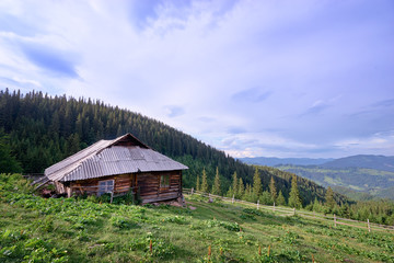 Fototapeta na wymiar Beautiful mountains landscape with green meadow and wooden house. Carpathians, Ukraine.