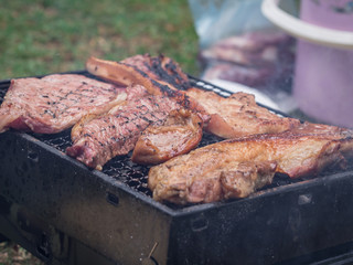 Close up view grilled Barbecue beef on the Grill meat in the picnic camping.
