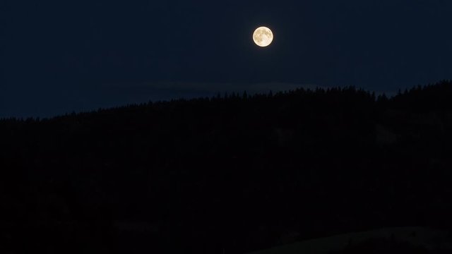 Full moon rising up over dark forest Time lapse