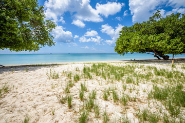 Aruba, Caribbean
