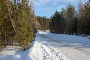 Fototapeta premium winter road