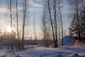 Beautiful winter sunset with trees in the snow. twilight